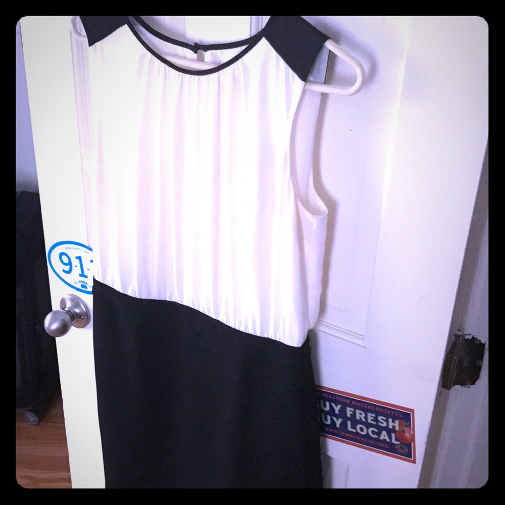 Ann Taylor by Loft : Black & white cocktail dress